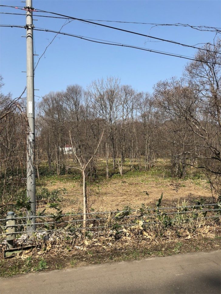 f:id:HOSH:20180424213810j:image f:id:HOSH:20180424213810j:image