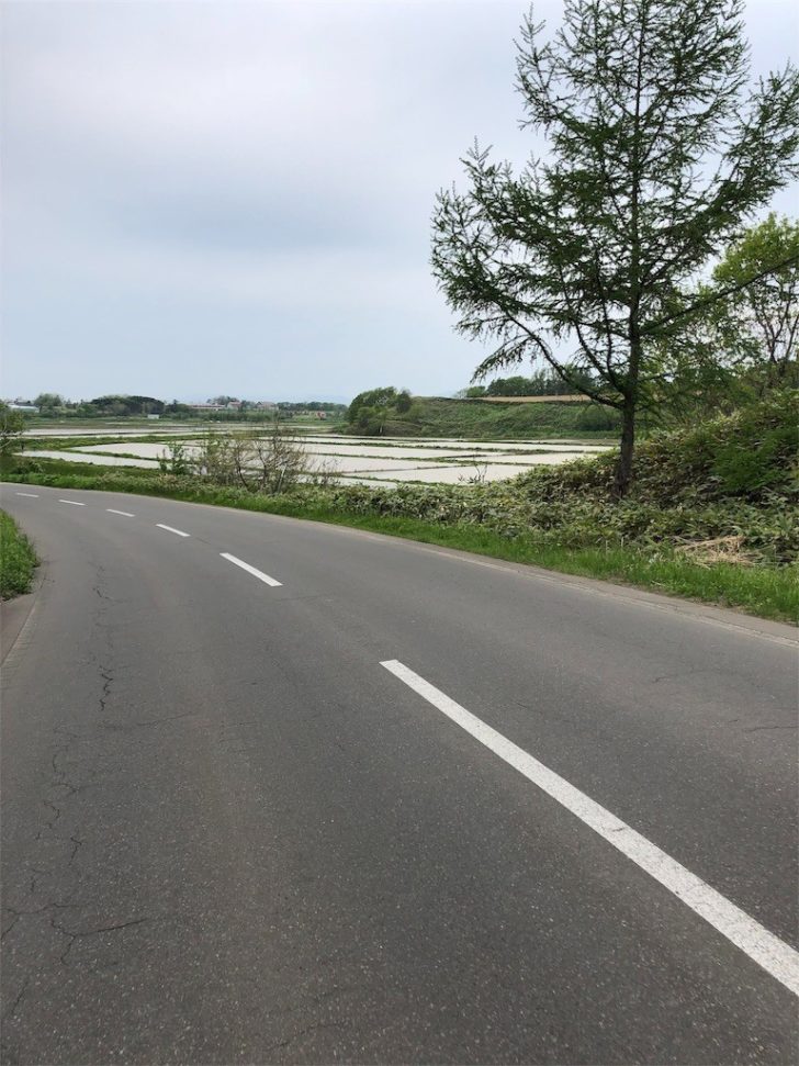 f:id:HOSH:20180527213914j:image f:id:HOSH:20180527213914j:image