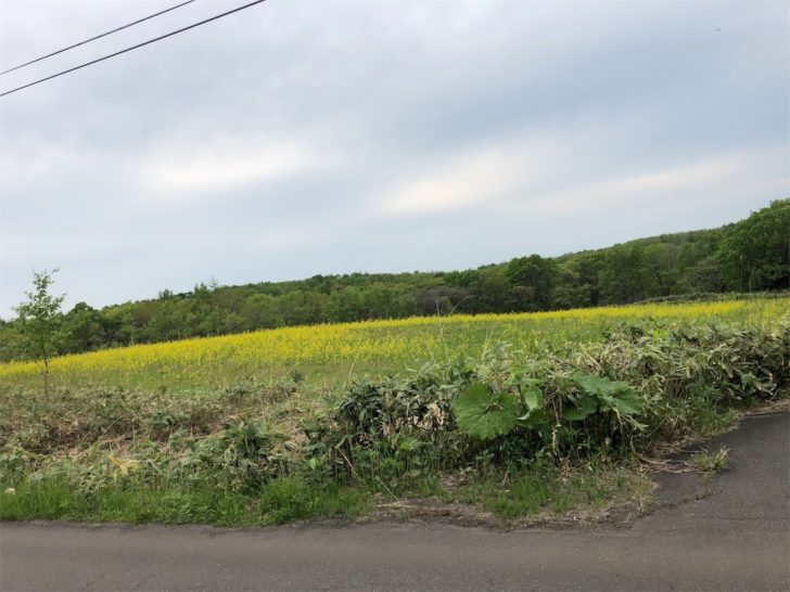 f:id:HOSH:20180527215730j:image f:id:HOSH:20180527215730j:image