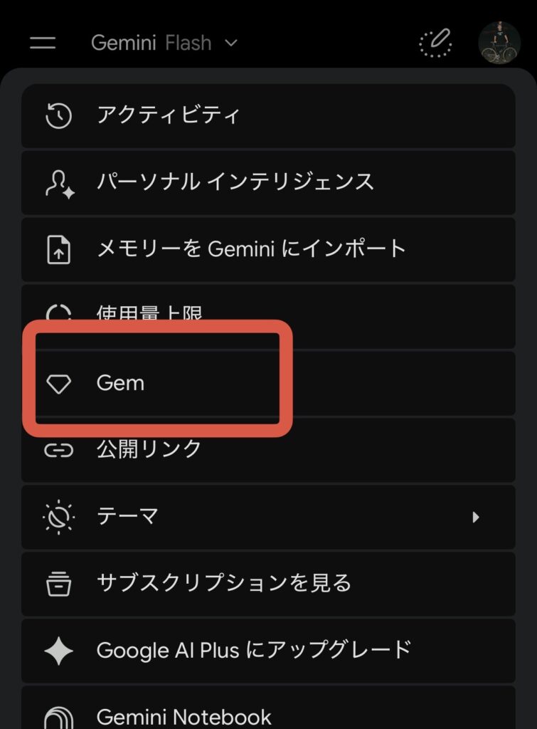 歯車を開いた設定メニュー。「Gem」の項目